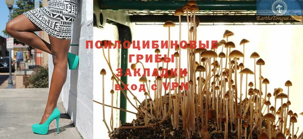 бошки Михайловск
