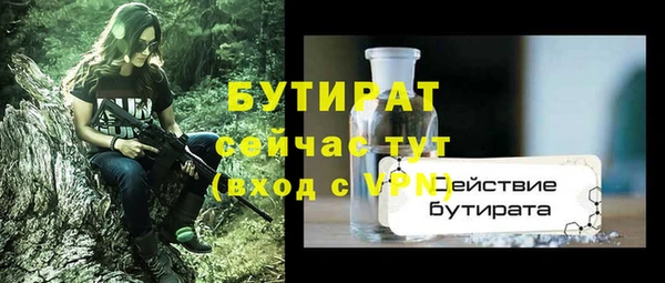 гидра Михайловка