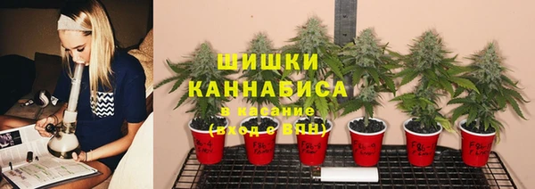 ECSTASY Магас