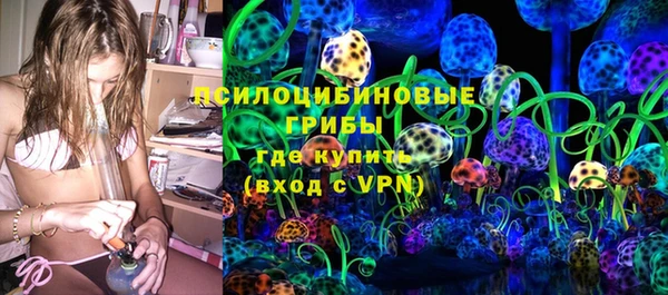 молекула духа Михайлов