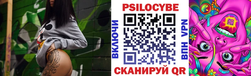 kraken онион  Шали  Псилоцибиновые грибы мицелий 
