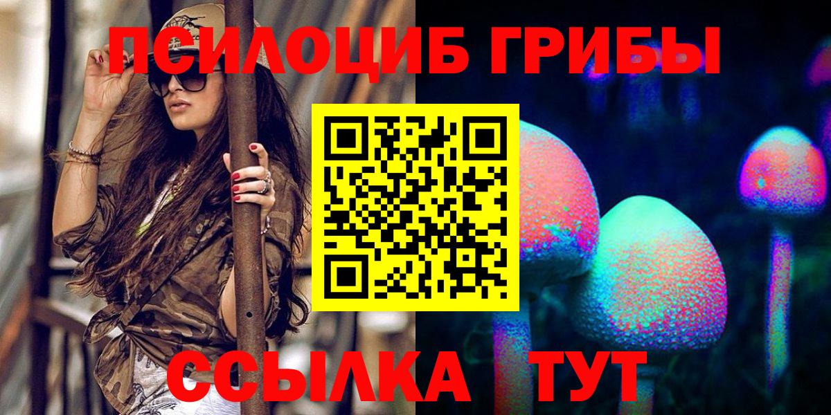 Галлюциногенные грибы Psilocybine cubensis  Вход с VPN  Псилоцибиновые грибы прущие грибы  Шали 
