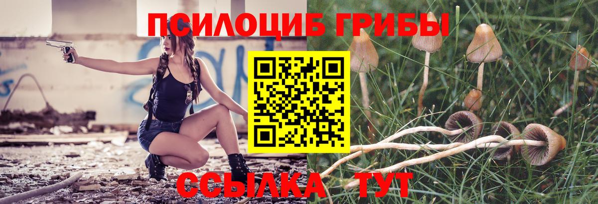 Псилоцибиновые грибы прущие грибы Шали